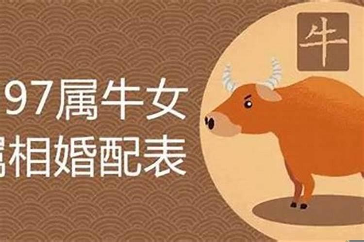 生肖牛跟什么生肖配