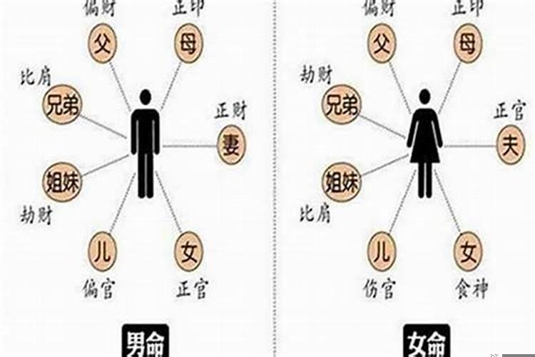 相比肩是什么意思