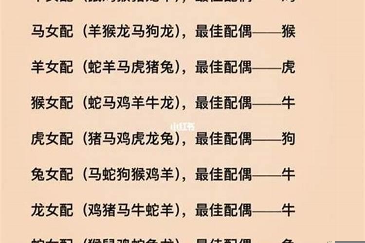 属猪的属相婚配表宜忌