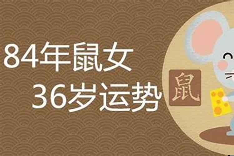 84年鼠后半生运程