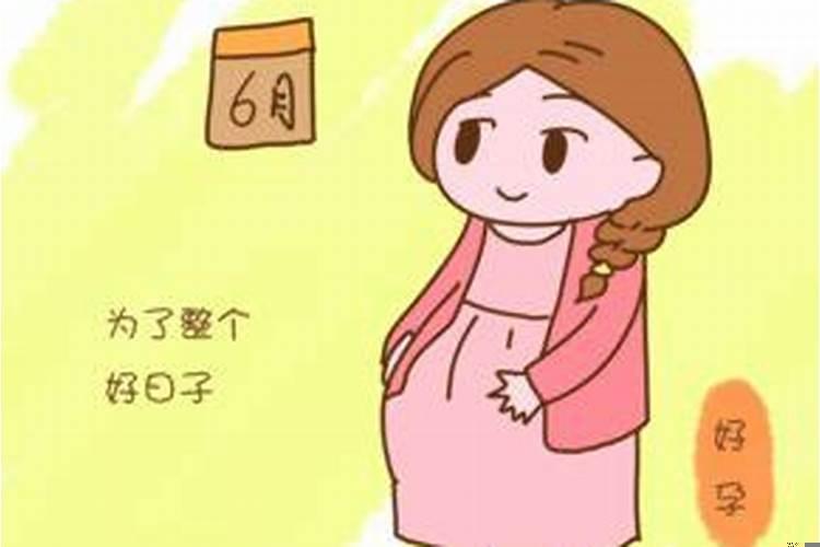 95年属猪是什么命运