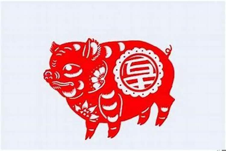95年属猪是什么命运