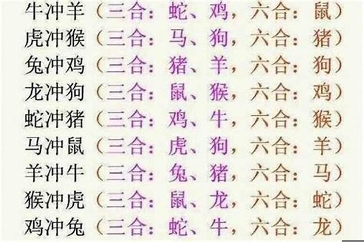 属马的与什么属相相冲