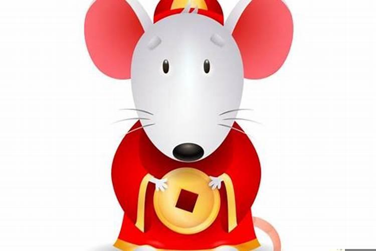 鼠和属鼠的合不合