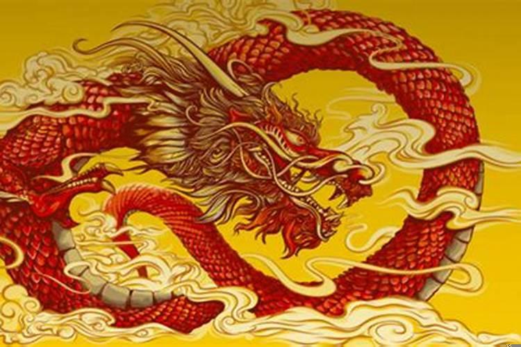 属龙的和属马的合财吗