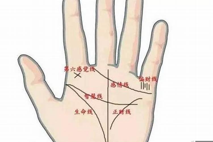 手掌线条名称