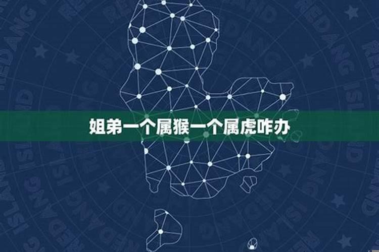 属猴和属虎的兄妹好不好