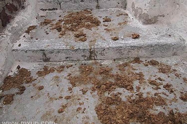 梦见大便满地是什么意思呀