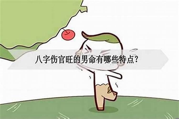 伤官旺的女人适合什么职业