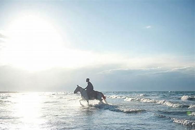 梦见我骑马是什么意思