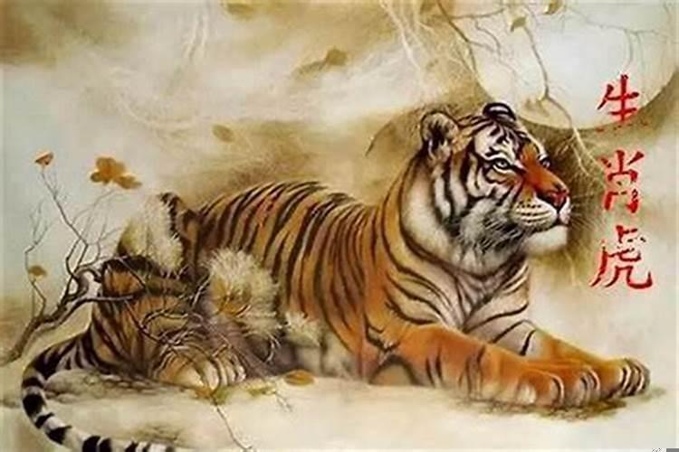 属虎的生在几月最好和最苦