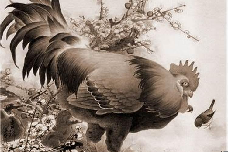 养兔在风水上的运用