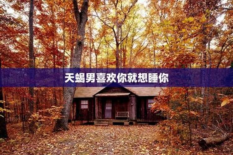 天蝎男总想和你睡觉
