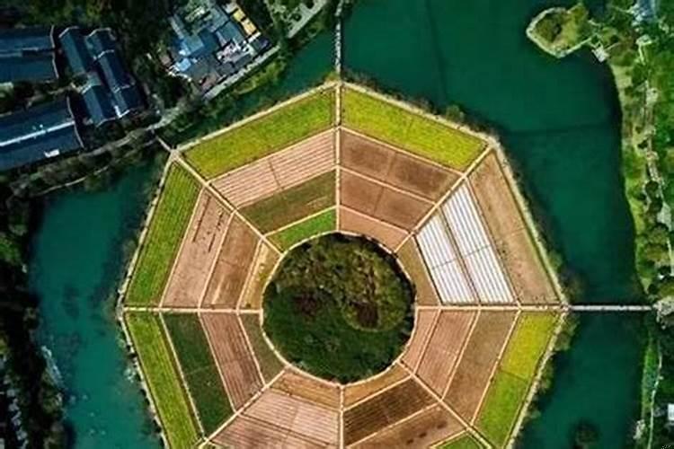 学校有风水学吗