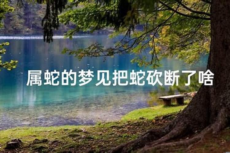 梦到蛇被自己砍成一截一截并准备煮