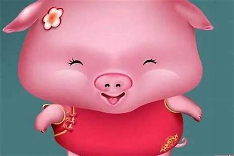 属猪的要找什么的相配