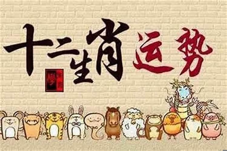 2025年事业运好的生肖