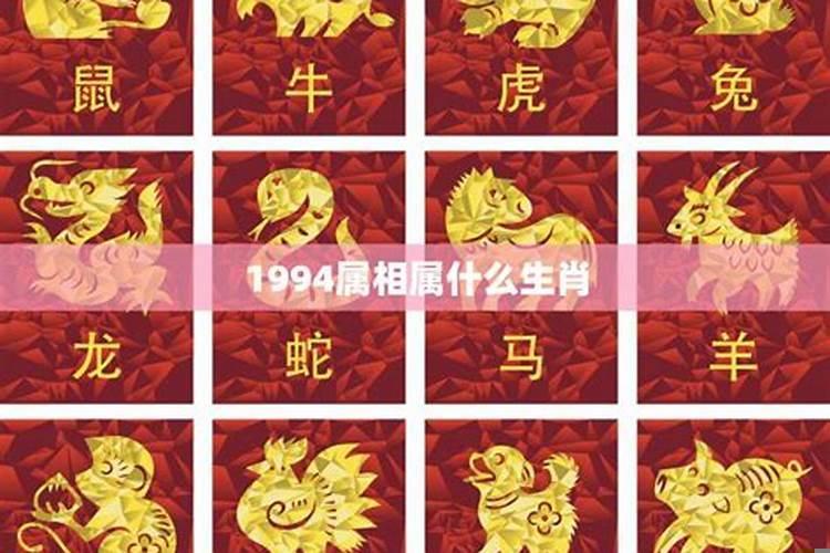 1994年是多少岁属相是什么