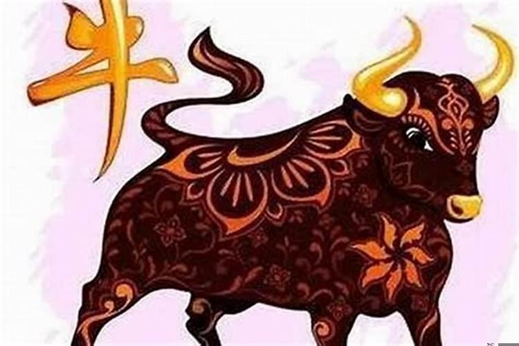 属牛的最好配偶