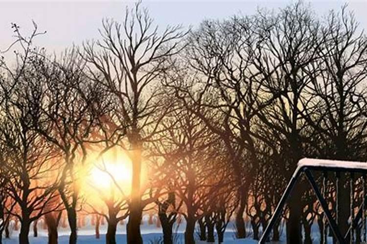 梦见脏乱不堪的公厕