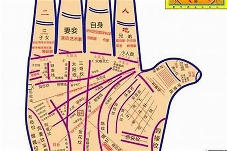 是手相准还是八字准