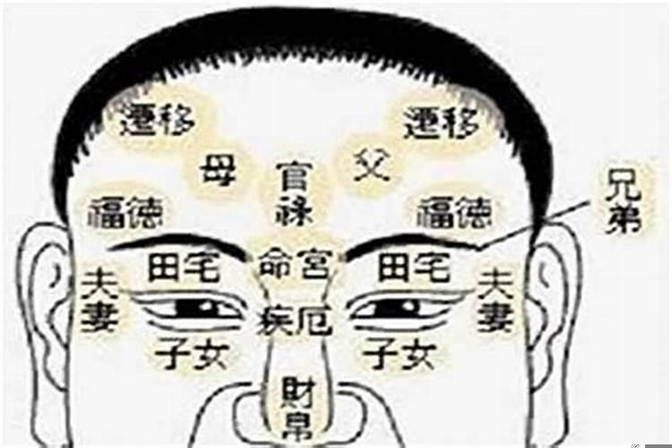 面相有福气的人(财运好男人面相)