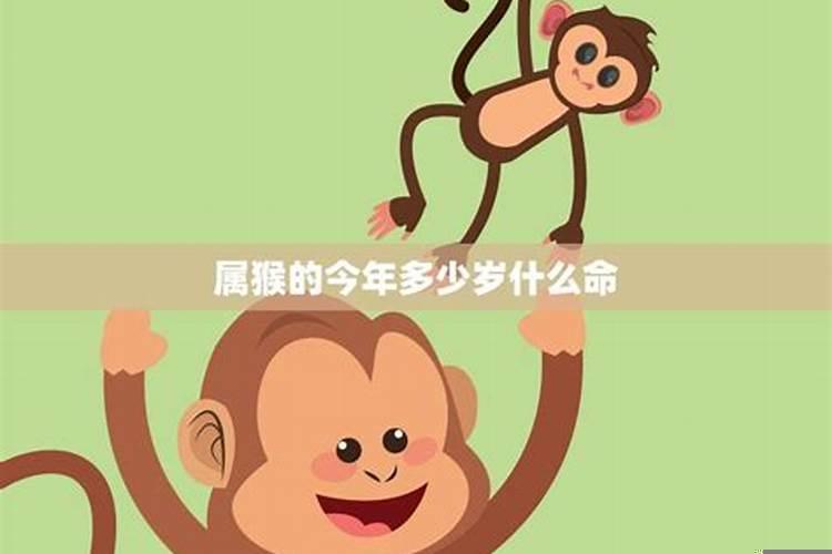 2025年5月哪天属猴？今年属猴的有多少岁