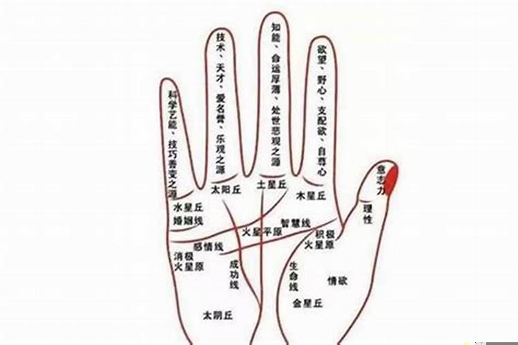 是手相准还是八字准