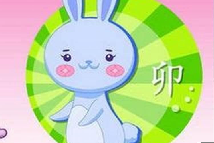 兔跟鼠属相合不合(属鼠和属兔合婚不)