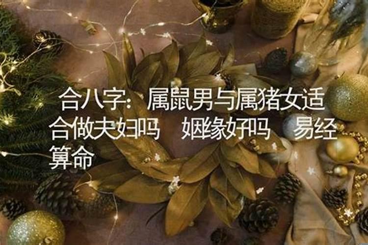 鼠男和属猪女适合吗？属猪人的最佳配偶属相是什么