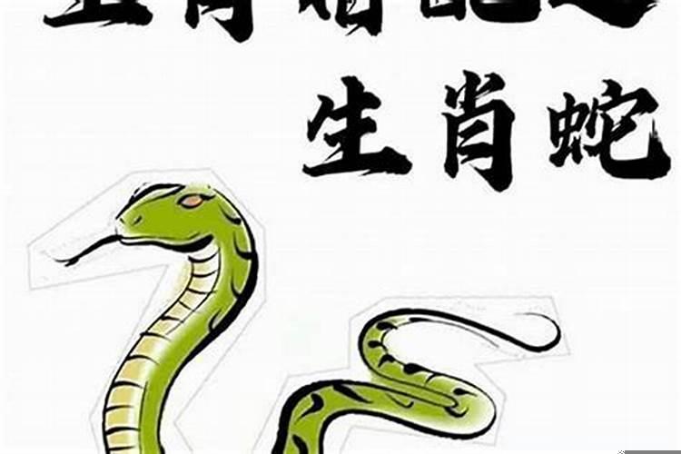 属蛇男为什么不能找属蛇女？属蛇男为什么婚姻不顺