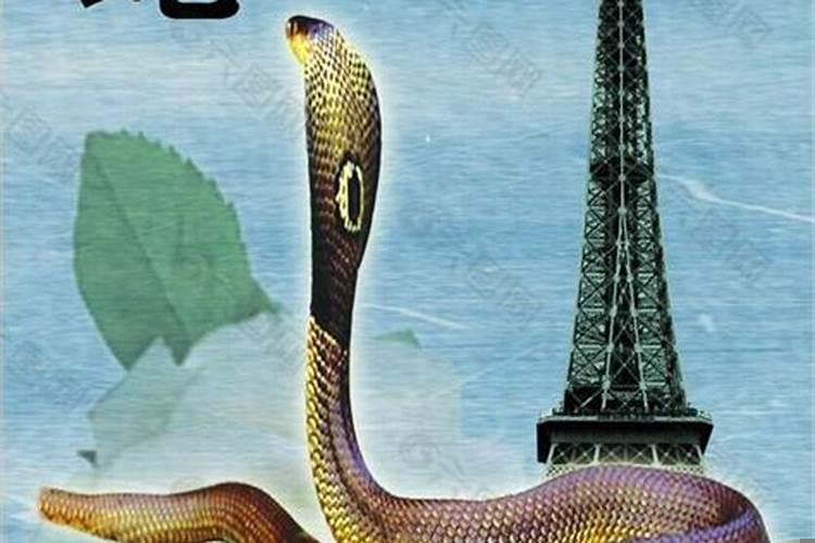 属龙与属蛇合吗？龙和蛇合不