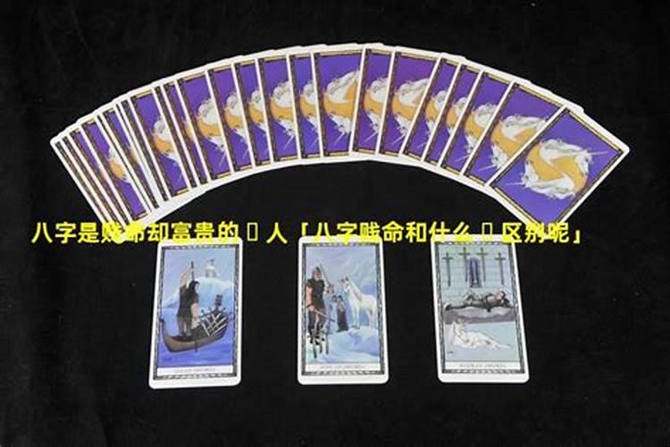 什么八字是贱格