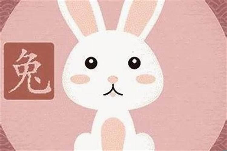 属兔男跟属羊女的婚姻如何？属兔女和属羊男姻合吗？