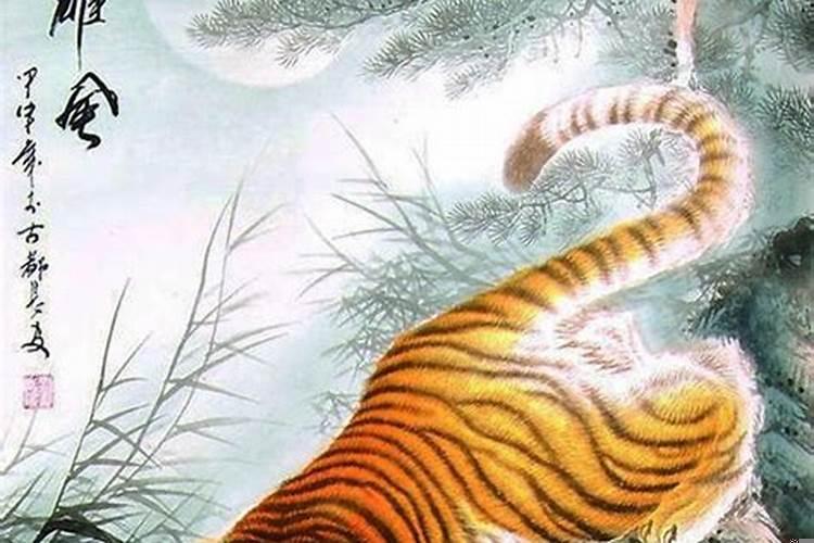 属猴蛇虎一家人好不好？猴与猴婚姻如何