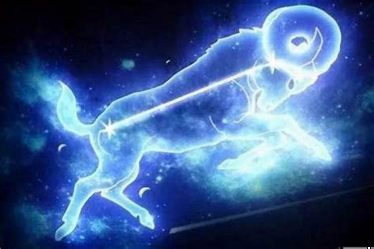 摩羯座男的特征