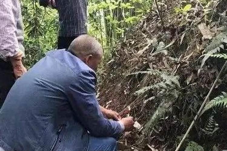 老年人多少岁可以不上坟祭拜
