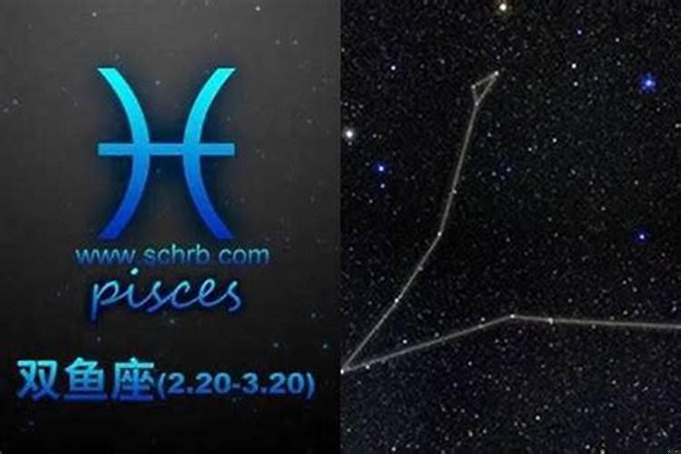 怎么和双鱼男聊天