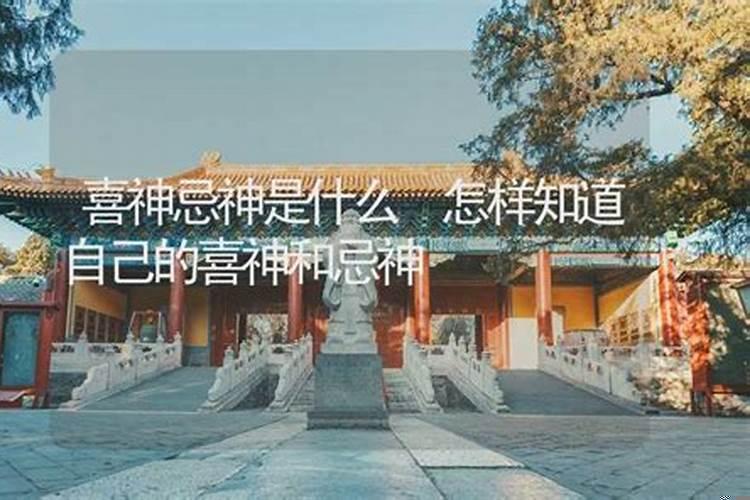 用神喜神忌神是什么意思