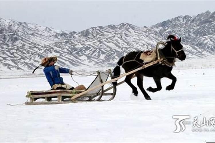 梦见坐着马爬犁