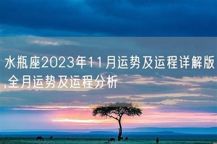 水平座2025年11月运势，天蝎座女生学业运势