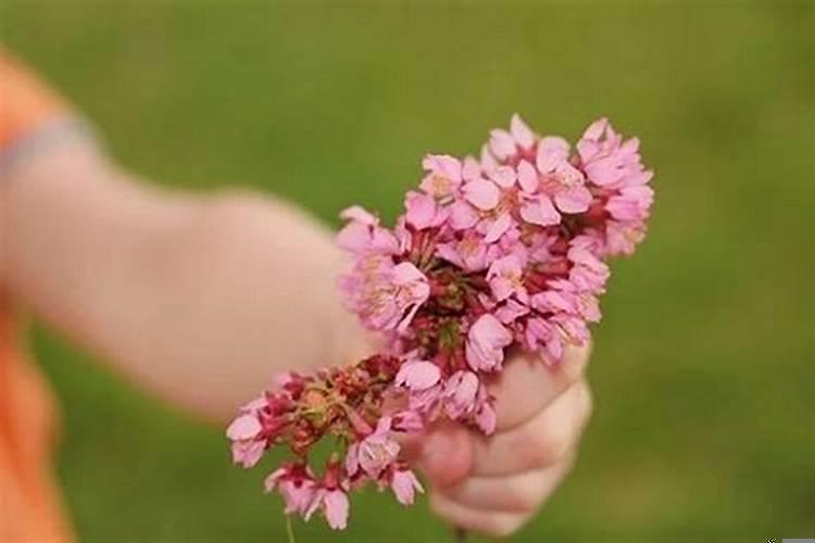 遇到烂桃花的征兆（什么叫犯桃花灾）