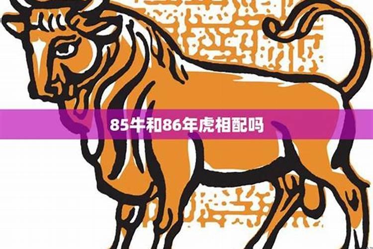 生肖虎和牛相配吗？属猴的和什么生肖相冲相克