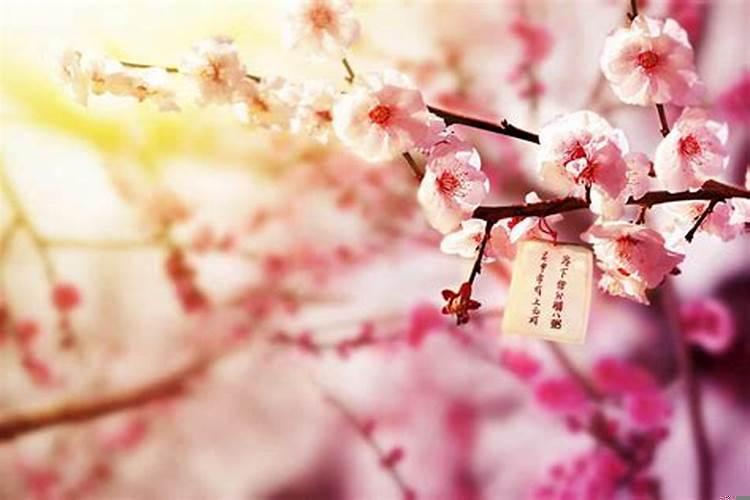 如何提升桃花运？如何破桃花运斩桃花