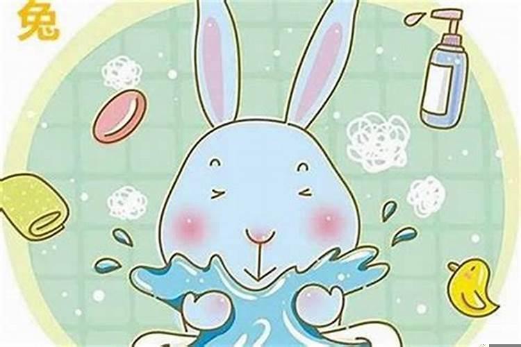 属兔人家中应摆放什么？男属兔女属鸡婚配好吗家里要摆什么信物