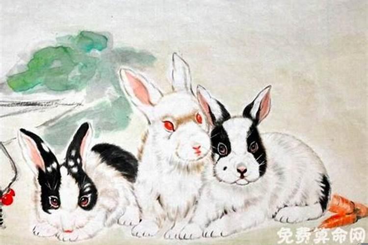 属兔运势好的年份，犯太岁真的很严重吗