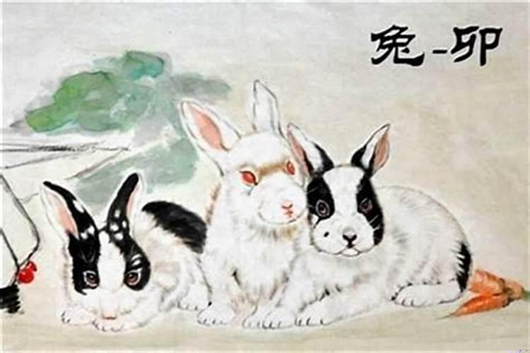 1987年属兔明天的运势（1987年属兔的正缘出现在哪里）