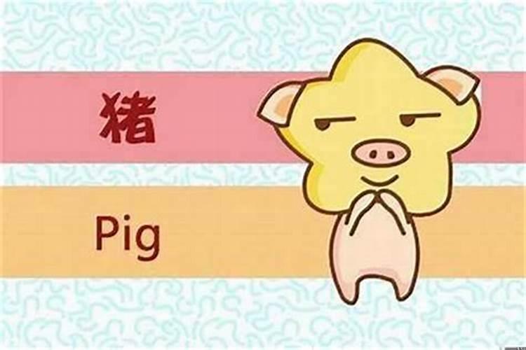 属猪的女命运好吗？属猪的女人命运怎么样