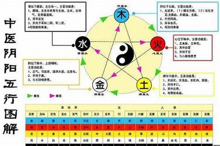 金生木木生火火生土土生水，八字合与不合