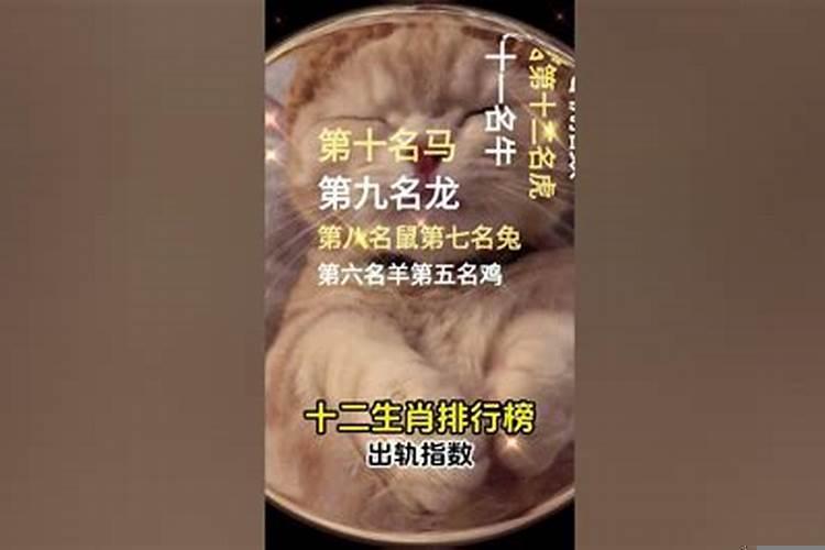 哪个生肖最容易出轨？属羊女面对老公出轨